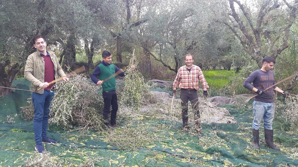 Villa Antonio Ρομίρι Εξωτερικό φωτογραφία